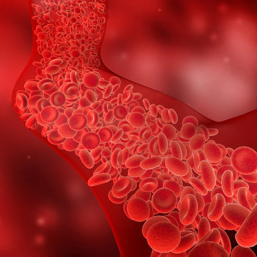 Circulation & Vascular Support