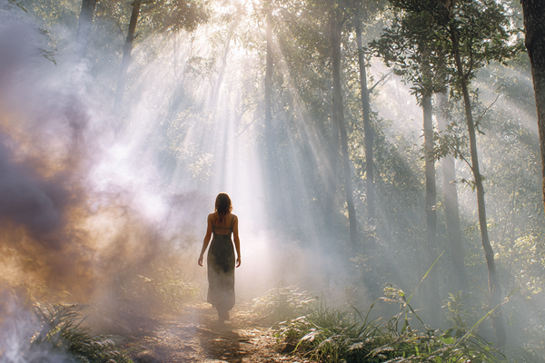 Lightening the Burden: Navigating Toxin Load in Midlife for Hormonal Recalibration
