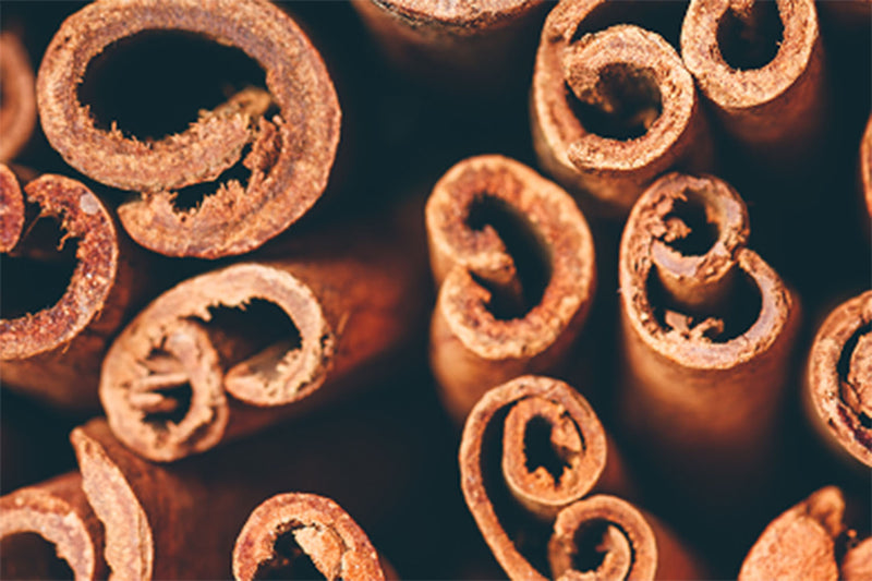 Cinnamon Bark