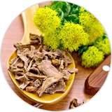 Rhodiola