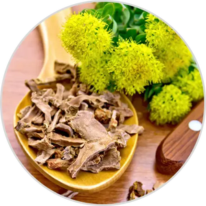 Rhodiola